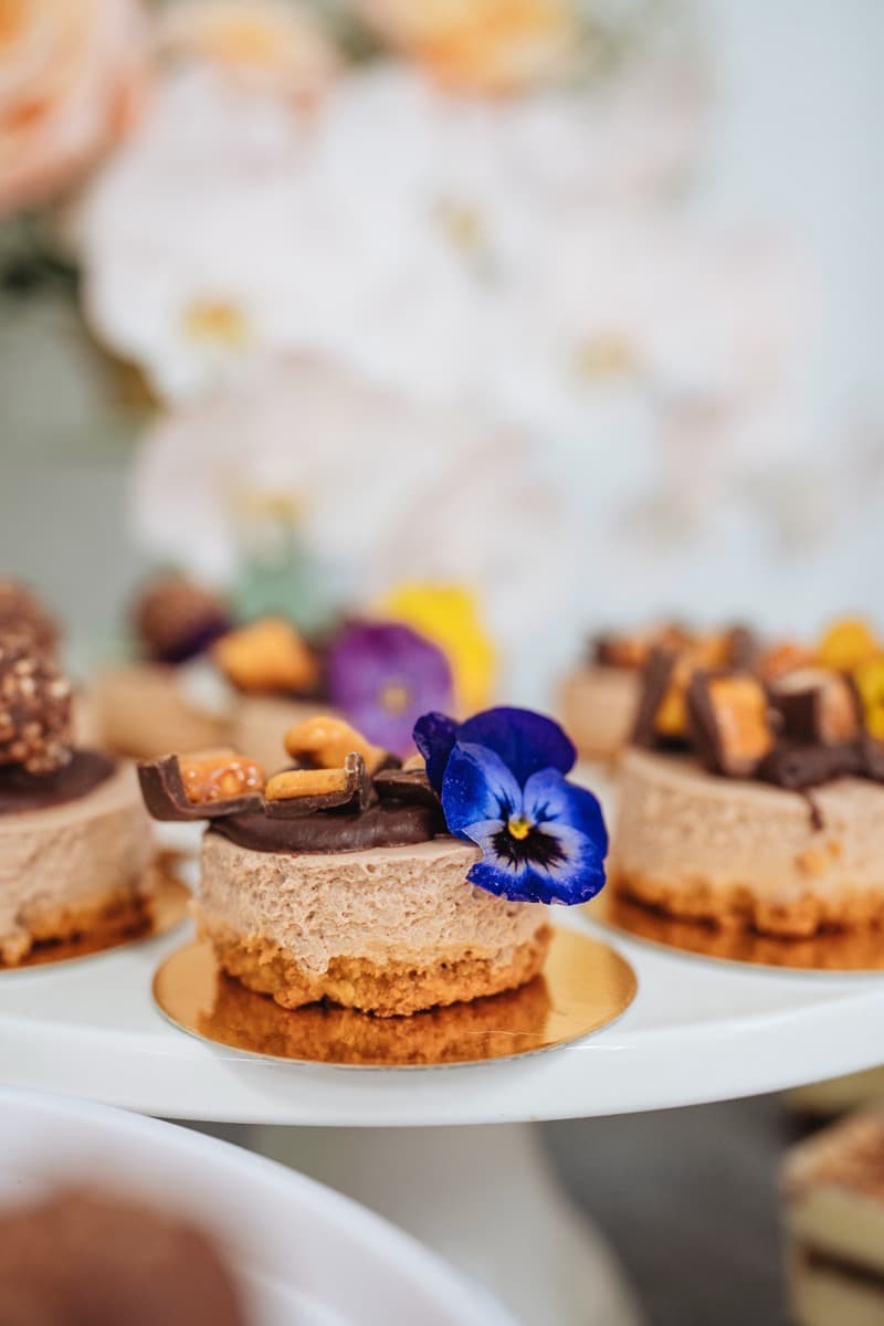 Chocolate cheesecake with edible pansy for Adelaide celebration catering